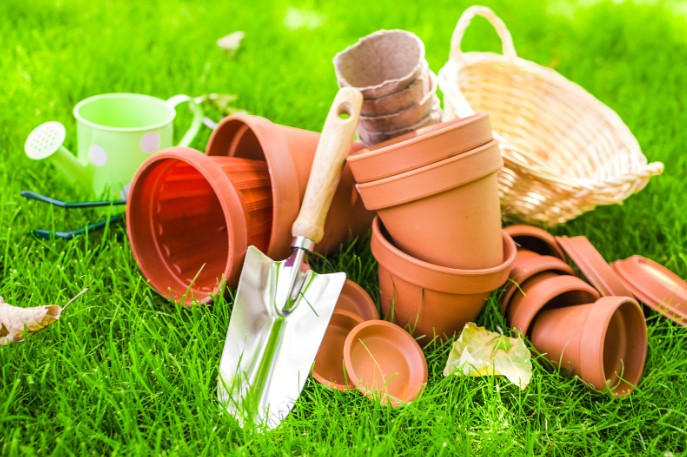 как подобрать размер горшка для цветка