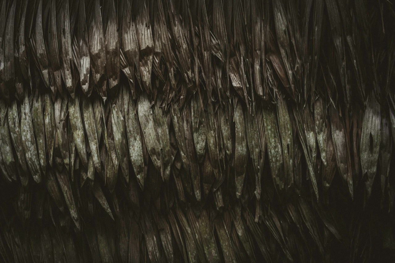 Что лучше: ламинирование или биоламинирование волос