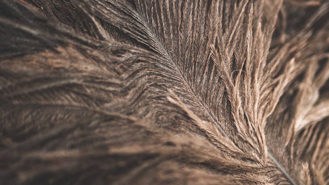 Чем отличается ламинирование волос от ботокса: сравнение процедур