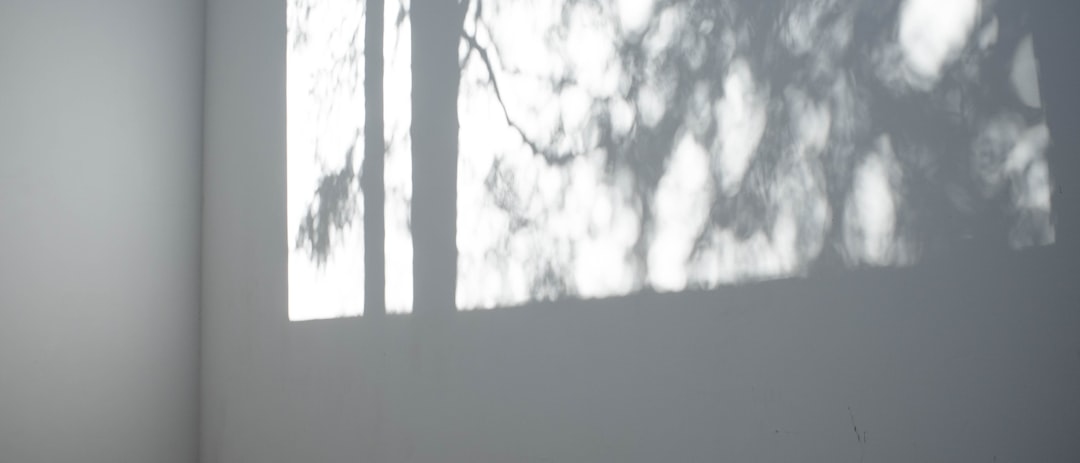 Омбре, шатуш или балаяж: чем отличаются техники окрашивания и что выбрать в 2025