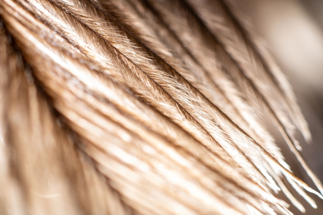 Чем отличается краска для волос без аммиака от обычной: плюсы и минусы